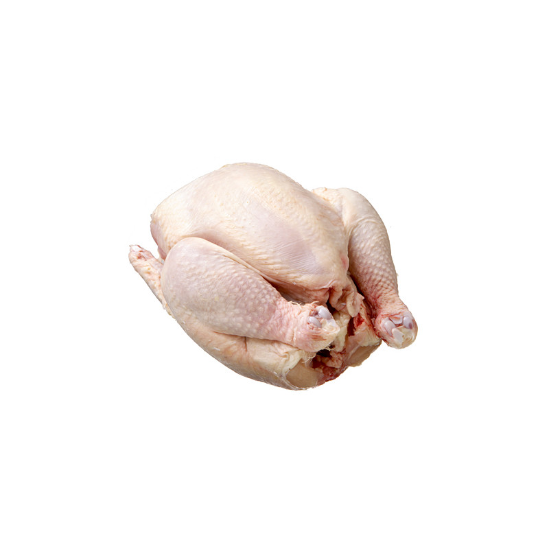Koscher Poulet