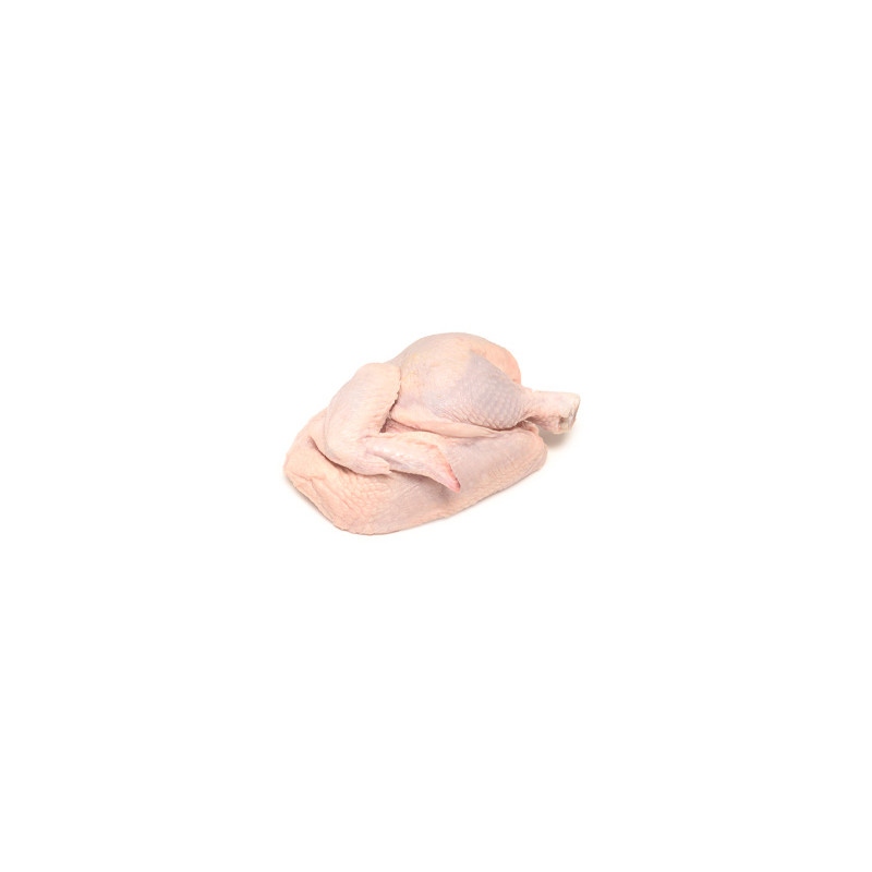 frisches Poulet