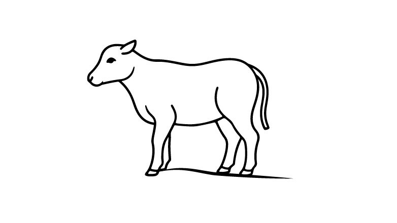 Kalb-Fleisch